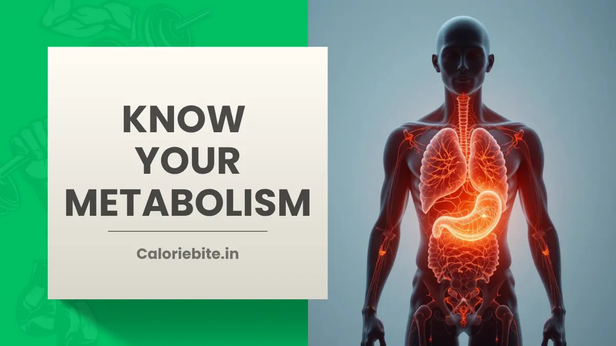 Understanding Your Metabolism